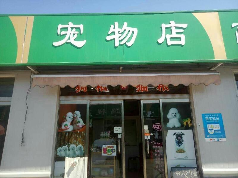 宠物店会员管理系统1