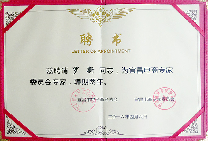 专家电商委员会