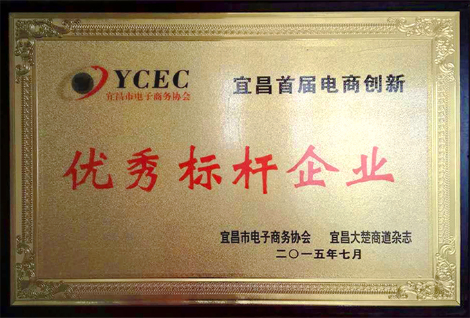 优秀标杆企业