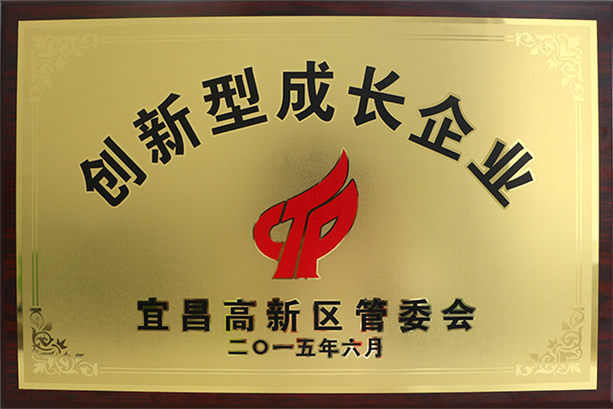 创新型成长企业