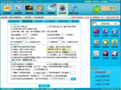 普及版和标准版的默认结算方式设置